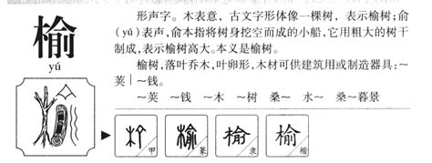 榆姓名學|榆字取名寓意是什么 男孩榆字取名吉利吗